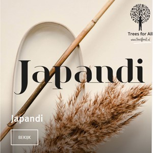 Thema Japandi