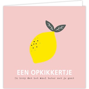 Een opkikkertje, ik hoop dat het snel beter gaat (56)