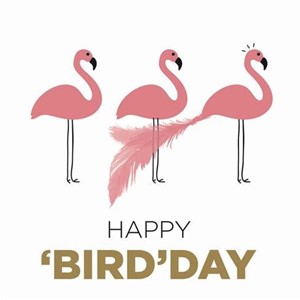 Happy 'bird'day (64)