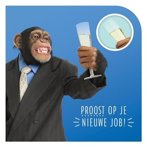 Proost op je nieuwe job! 