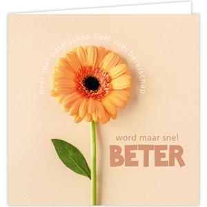 Word maar snel beter