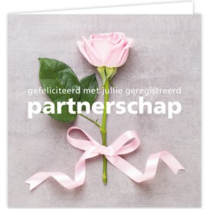 Geregistreerd partnerschap